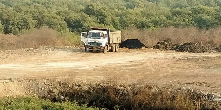 NatConnect Foundation